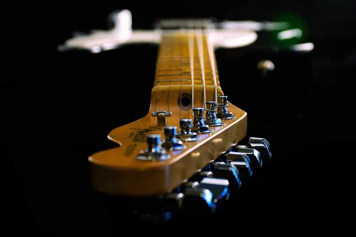 Gitar Detayları